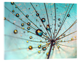 Akryylilasitaulu  Dandelion - Umbrella Details - Julia Delgado