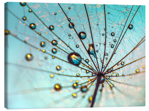 Canvastavla Dandelion - Umbrella Details