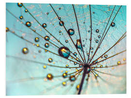 Foam board print Dandelion - Umbrella Details