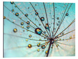 Magnettafel Pusteblume - Schirmchen Details