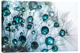 Lærredsbillede  Dandelion Drop gloss in blue turquoise - Julia Delgado