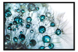 Gerahmter Kunstdruck Pusteblume Tropfenglanz in Blautürkis