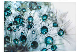 Magnettafel Pusteblume Tropfenglanz in Blautürkis