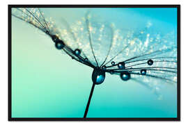 Gerahmter Kunstdruck Pusteblume Schirmchen türkis mit Morgentau