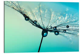 Magnettafel Pusteblume Schirmchen türkis mit Morgentau