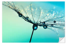 Wall sticker Dandelion umbrella turquoise with morning dew