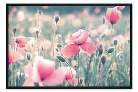 Gerahmter Kunstdruck Mohnblumen Wiese