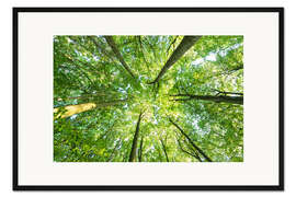 Gerahmter Kunstdruck In den Himmel 