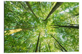 Magnettafel In den Himmel 