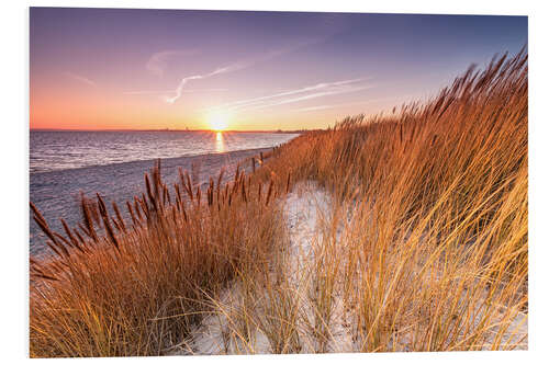 Foam board print Sunset in the reed