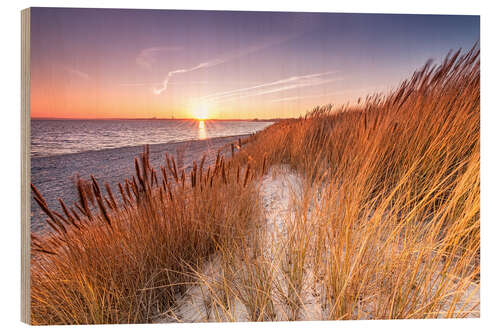 Puutaulu Sunset in the reed