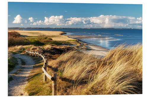 Foam board print Sylt pure nature