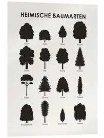 Acrylic print  Native tree species (German) - Iris Luckhaus