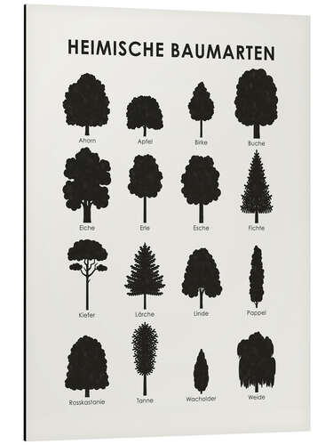 Aluminium print Native tree species (German)