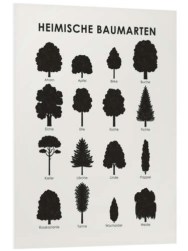 Foam board print Native tree species (German)