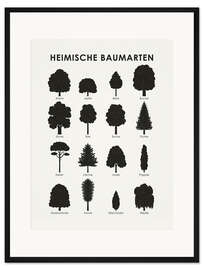 Gerahmter Kunstdruck Heimische Baumarten - Iris Luckhaus