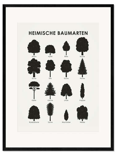 Ingelijste kunstdruk Inheemse bomen (Duits)