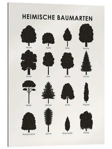 Gallery print Native tree species (German)