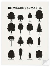 Wall sticker Native tree species (German)