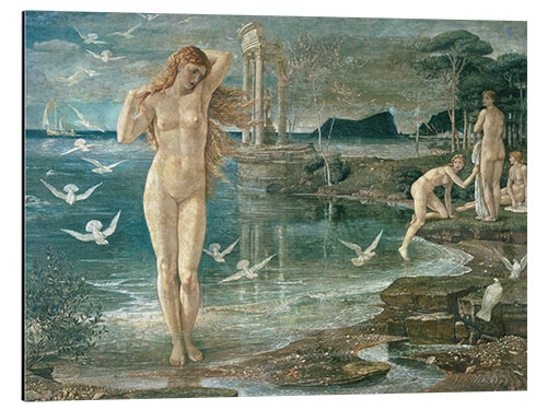 Aluminium print The Renaissance of Venus