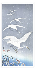 Plakat Descending egrets in snow