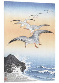 Foam board print Five seagulls over stormy sea