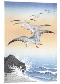 Gallery print Five seagulls over stormy sea