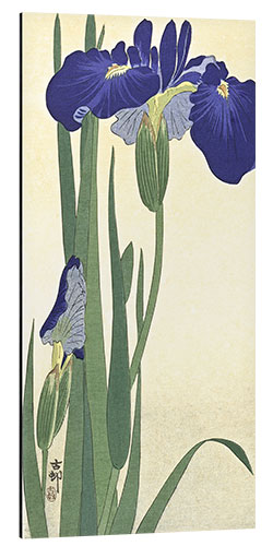 Alubild Blaue Iris