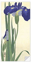 Selvklæbende plakat Blue Irises