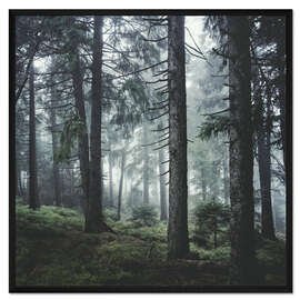 Gerahmter Kunstdruck Path Vibes