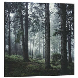 Magnettafel Path Vibes