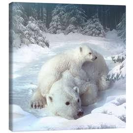 Canvas print Polar bears