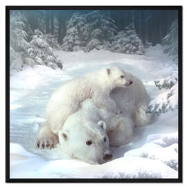 Gerahmter Kunstdruck Polar bears