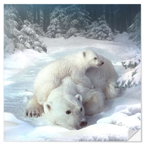 Sisustustarra Polar bears