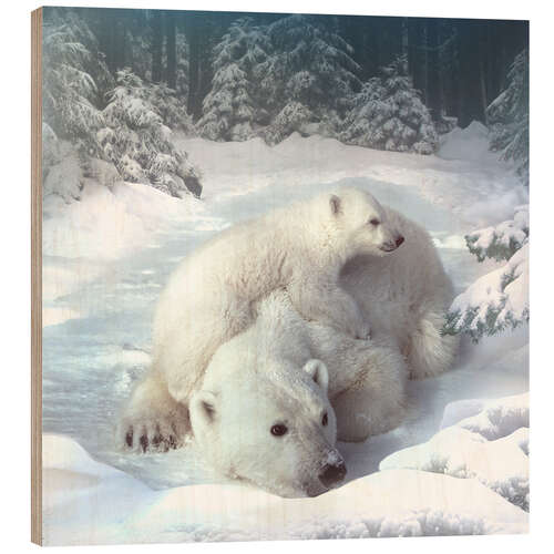 Wood print Polar bears