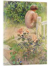 Acrylglasbild  Rücken und Rose - Carl Larsson
