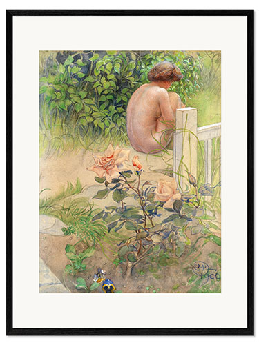 Framed art print Back and Rose