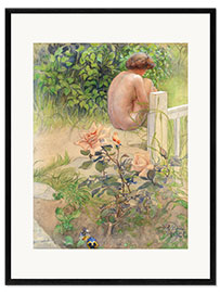 Framed art print Back and Rose