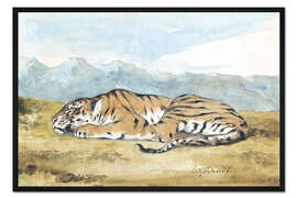 Gerahmter Kunstdruck Tiger