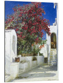 Magnettafel Oleander in voller Blüte