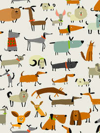 Magnettafel Hunderassen in allen Formen