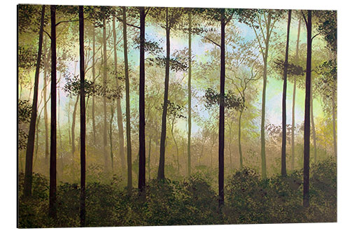 Aluminium print Forest morning