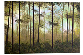 Foam board print Forest morning