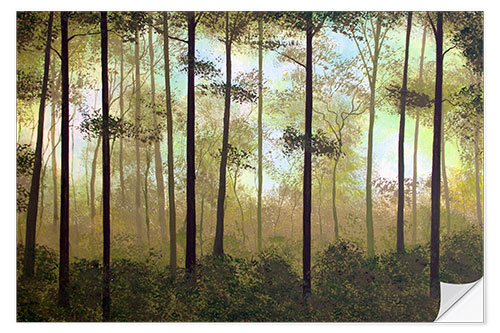 Sticker mural Matin en forêt