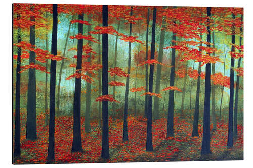 Aluminium print Forest dawn