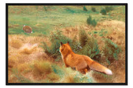 Gerahmter Kunstdruck Fuchs beobachtet einen Hasen