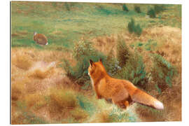 Galleriprint Fox Stalking Hare