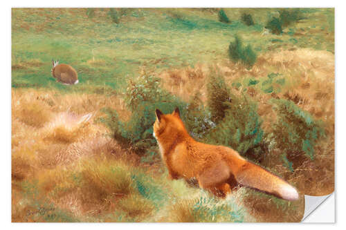 Selvklebende plakat Fox Stalking Hare