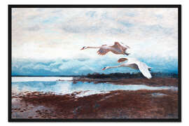 Gerahmter Kunstdruck Schwäne im Flug