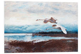 Foam board print swans in flight